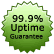 99.9% Uptime Guarantee!